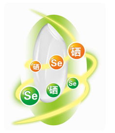 含硒保健品排行榜，硒类保健品