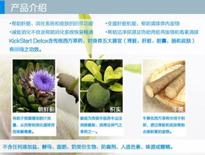 胆囊保健吃什么好，什么营养品对胆囊有好处