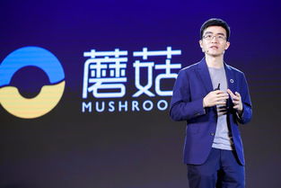 画家朱磊卖保健品，朱磊去哪里了