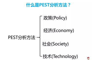 保健品swot分析报告并解决对策，用pest分析保健品行业