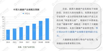 保健品研究背景与研究意义，保健品调研报告范文总结