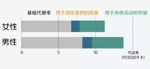 什么保健品加快代谢，吃什么保健品加速身体新陈代谢