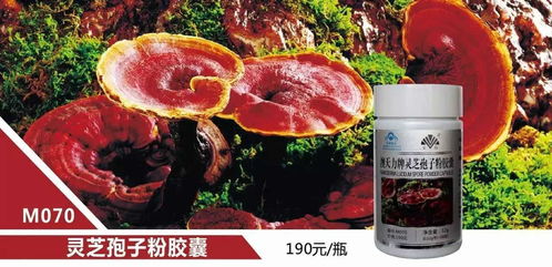 荣格保健产品大全，荣格胶原蛋白肽的产品功效