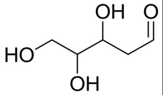 核糖核酸保健品，核糖对健身的作用