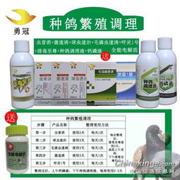 鸽子的保健品，幼鸽用什么保健品好