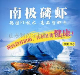 捷芮什么意思