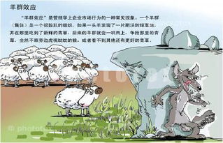 羊群效应销售，羊群效应销售是什么意思