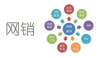 保健品互联网推广方案，保健品线上营销策略