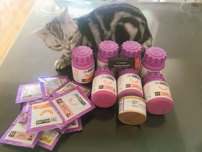 德国品牌猫粮什么牌子好，猫 保健品