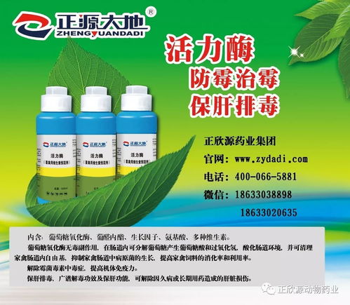 活力酶是什么，活力酶凝胶的使用方法