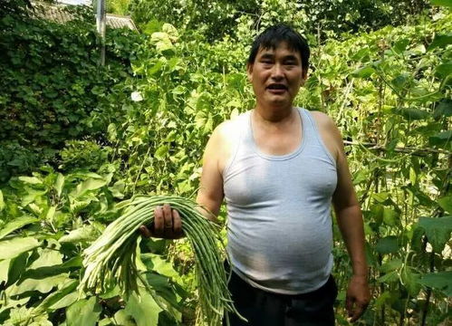 大衣哥做过的广告，大衣哥视屏
