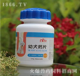 宠物保健品片剂厂家排名前十名，宠物保健品作用