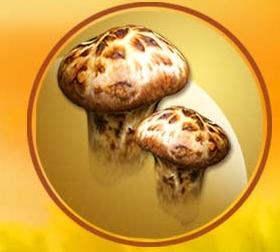 太白珍酿多少钱一瓶，太白珍酿