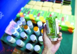 保健品网上买安全吗，网上的保健品有用吗